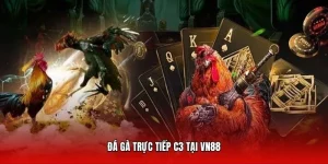 Đá Gà Trực Tiếp C3