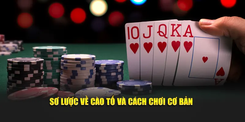 Sơ lược về cào tố và cách chơi cơ bản
